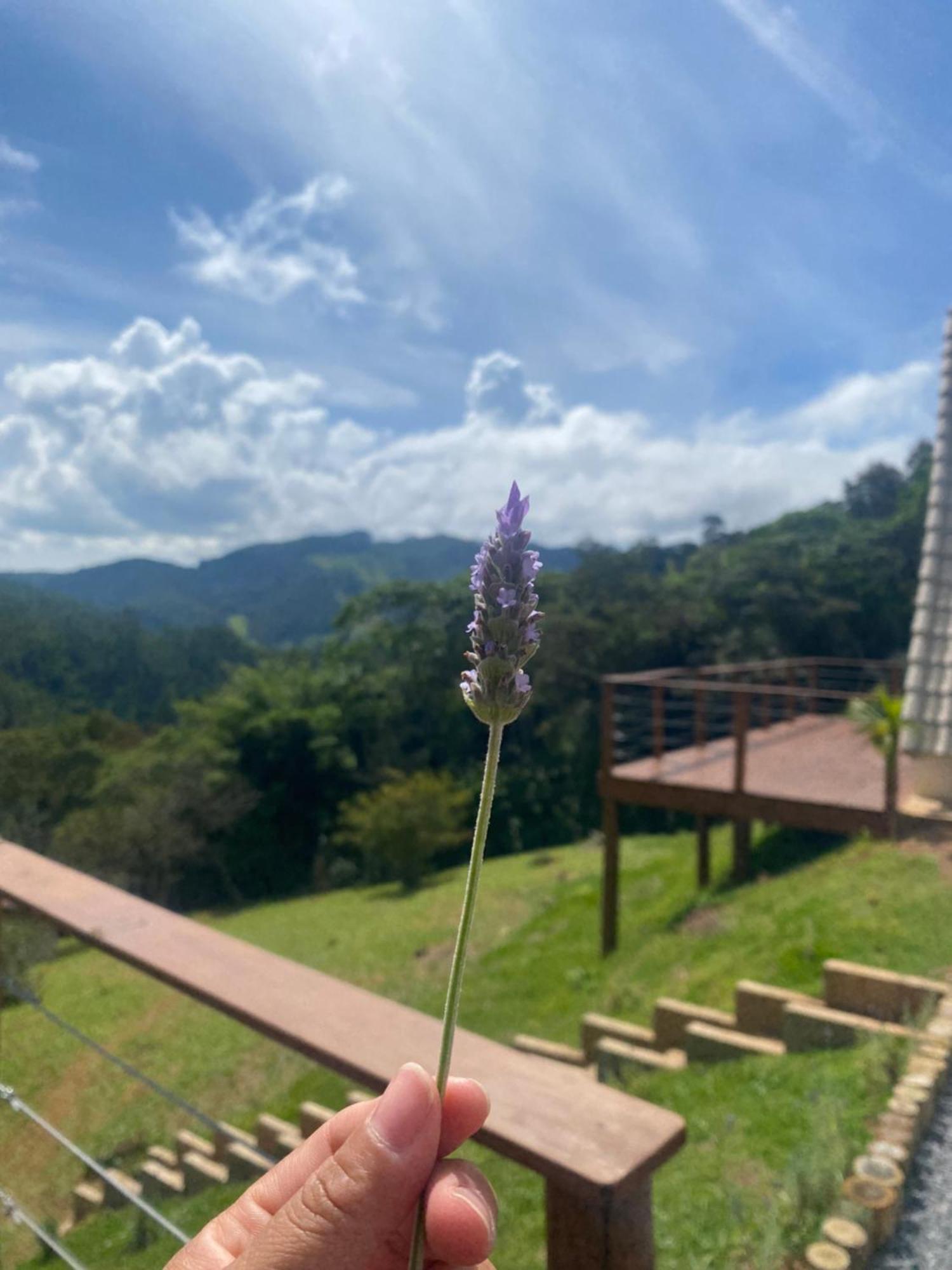 Chales Fazenda Floresta Das Araucarias Cunha Exterior foto
