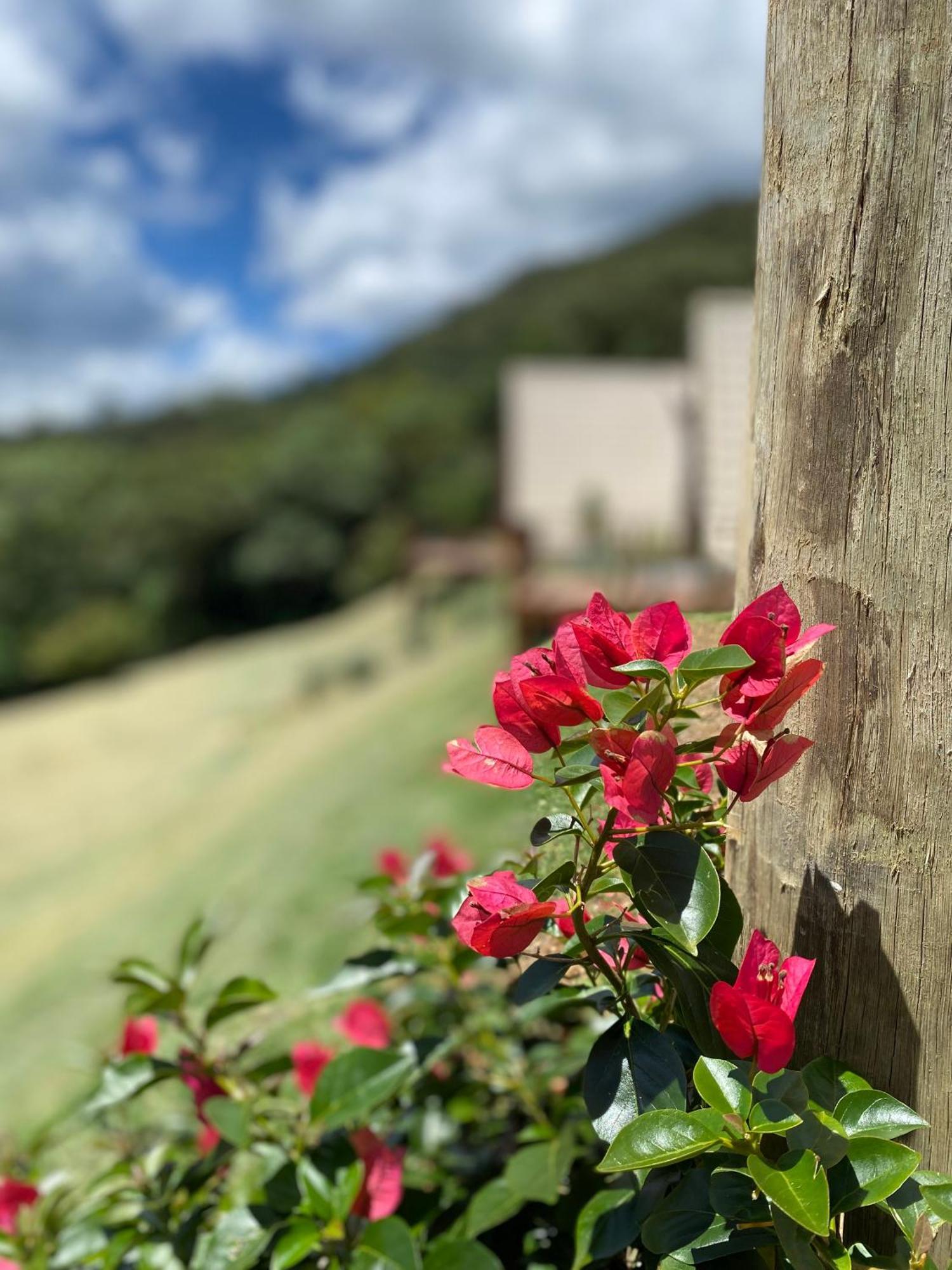 Chales Fazenda Floresta Das Araucarias Cunha Exterior foto